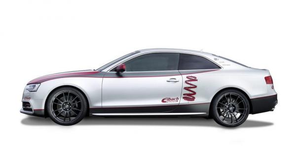 Audi S5 Coupe - tuning Eibach