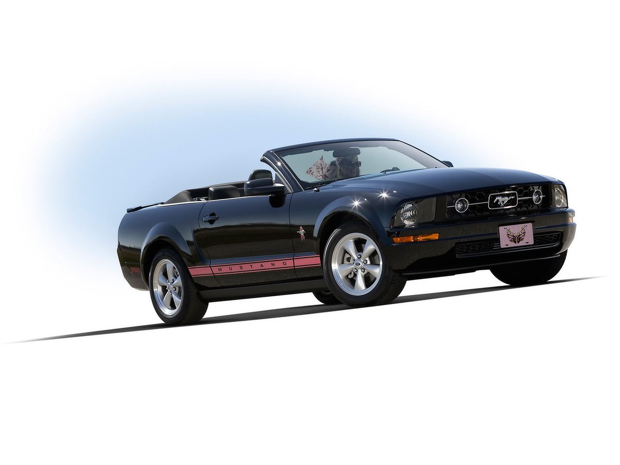 2008 Ford mustang wip edition #4